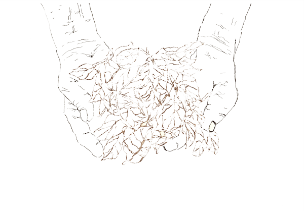 逗點人/7netic紙上記憶